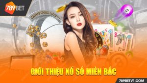 Xổ số miền Bắc Dành Anh Em Về Loại Hình Cá Cược 789bet