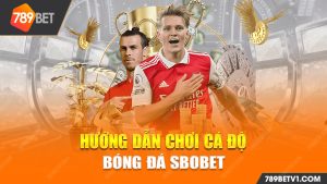 hướng dẫn chơi cá độ bóng đá sbobet