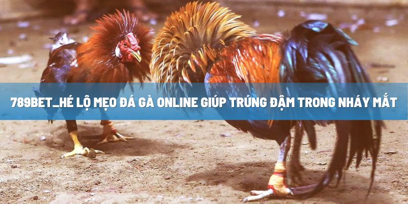 789BET_Hé Lộ Mẹo Đá Gà Online Giúp Trúng Đậm Trong Nháy Mắt