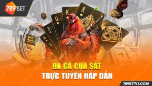 đá gà cựa sắt trực tuyến 789bet