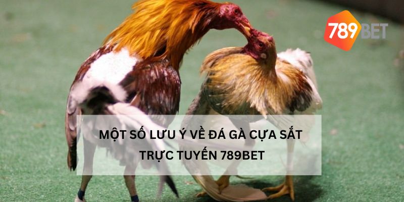 Lưu ý khi tham gia trải nghiệm đá gà cựa sắt trực tuyến