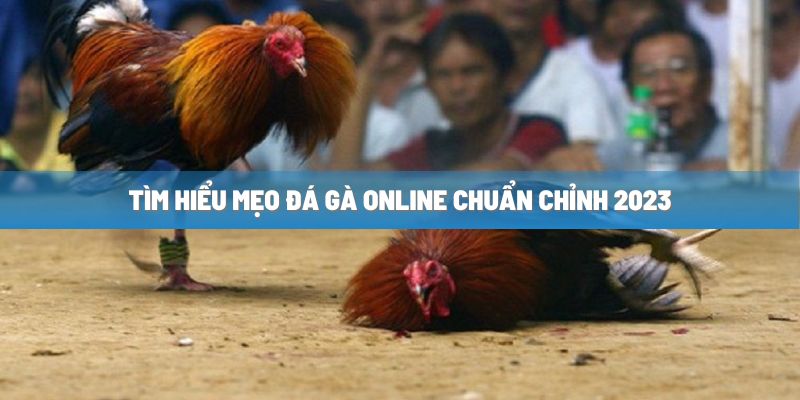 Giữ bình tĩnh mọi lúc, mọi nơi