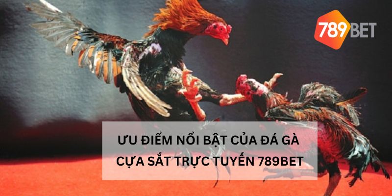 Đánh giá trò chơi đá gà cựa sắt trực tuyến