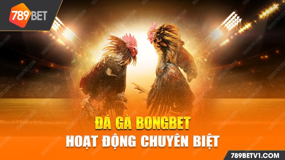 BONGBET