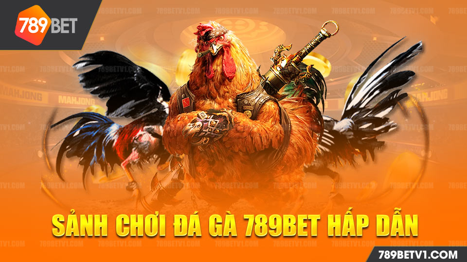 Đá gà nhà cái 789bet đa dạng hình thức chơi và cược khác nhau