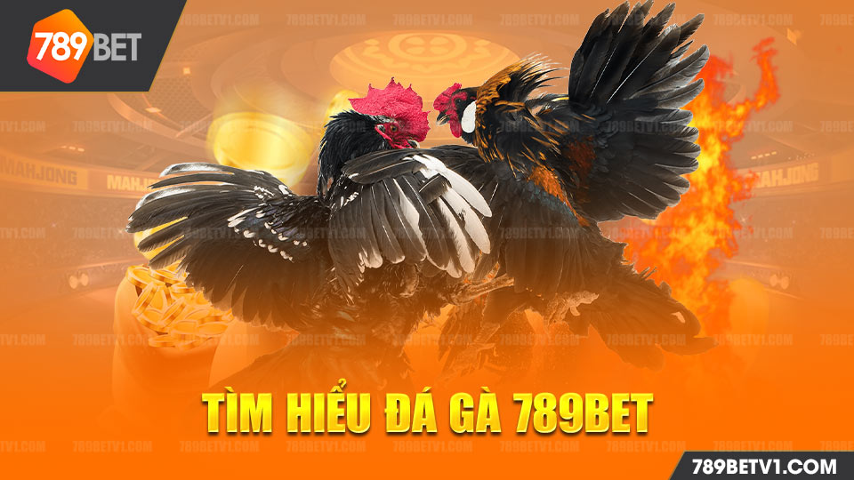 Đá gà 789bet trực tuyến là danh mục trò chơi thuộc nhà cái 789bet